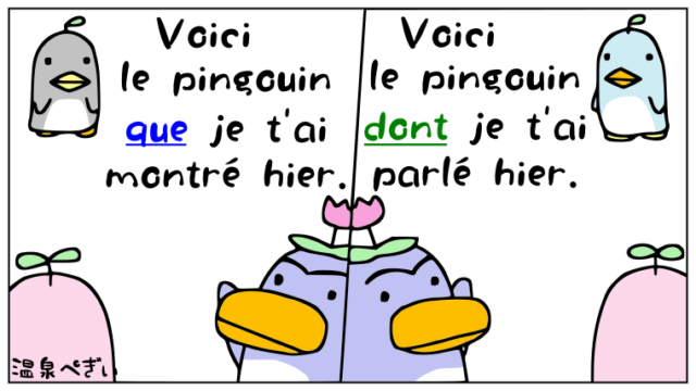 関係代名詞 Que と関係代名詞 Dont の違い フランス語の文法 温泉ペンギンのたしなみ フランス語の文法 フランス語のフレーズ フランス語 の豆知識