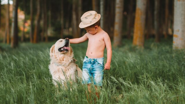 幼児が犬と一緒に遊んでいる様子
